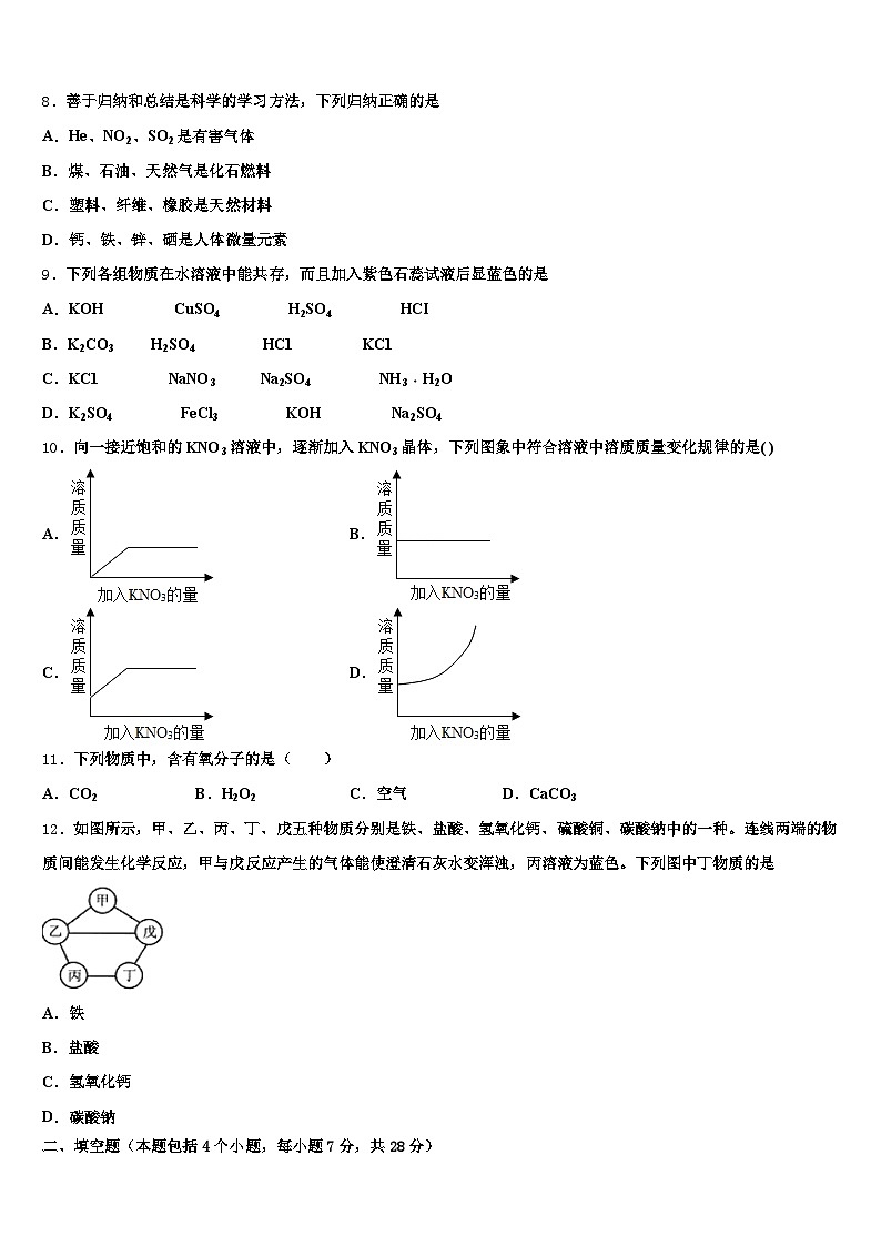 河北省石家庄市2025-2026学年中考四模化学试题（含答案解析）第3页