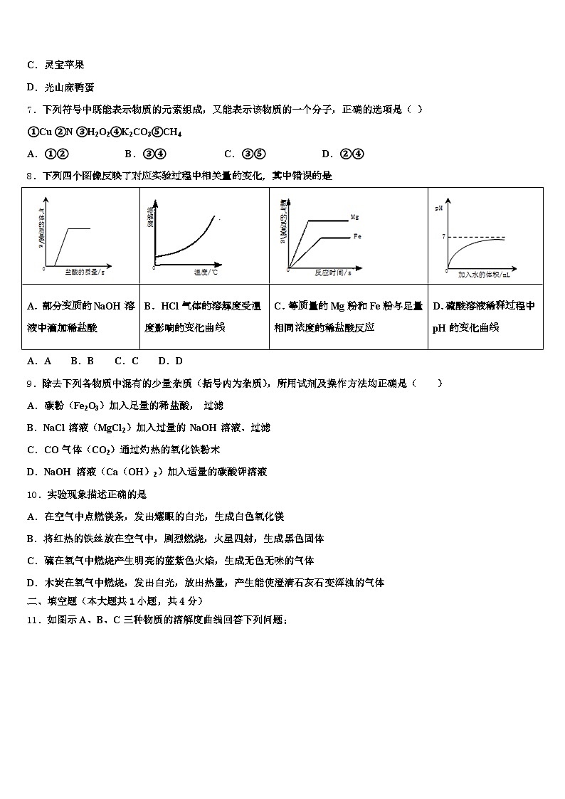 河南省商丘市2026年中考化学考前最后一卷（含答案解析）第3页