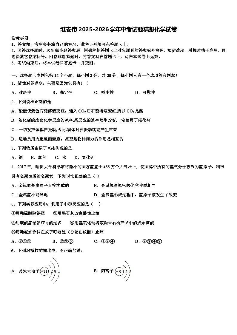 淮安市2025-2026学年中考试题猜想化学试卷（含答案解析）第1页