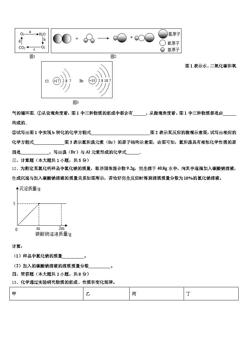 长治市2025-2026学年中考一模化学试题（含答案解析）第3页