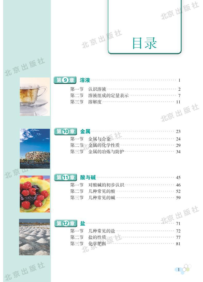 北京课改版化学九年级下册电子教材2023高清PDF电子版03