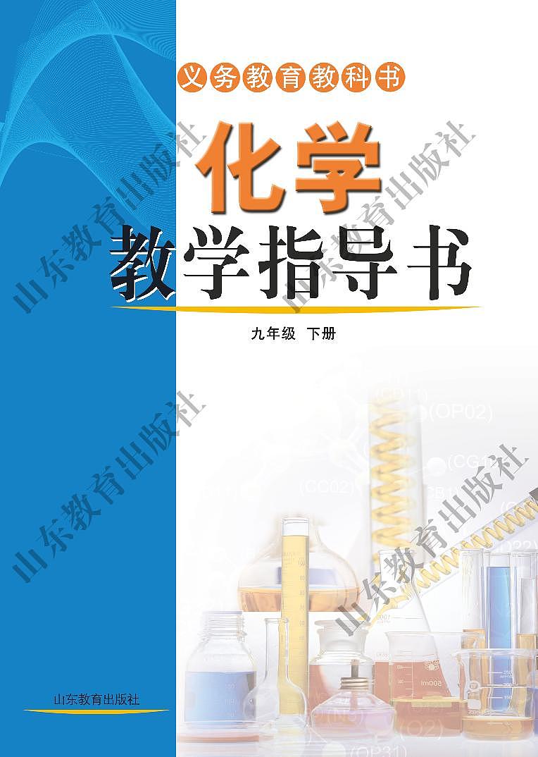 鲁教版 化学 九年级下册 教师用书02