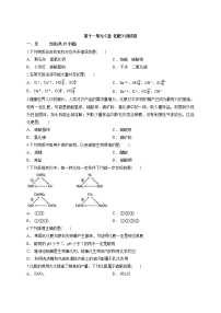 人教版九年级下册第十一单元  盐  化肥综合与测试巩固练习