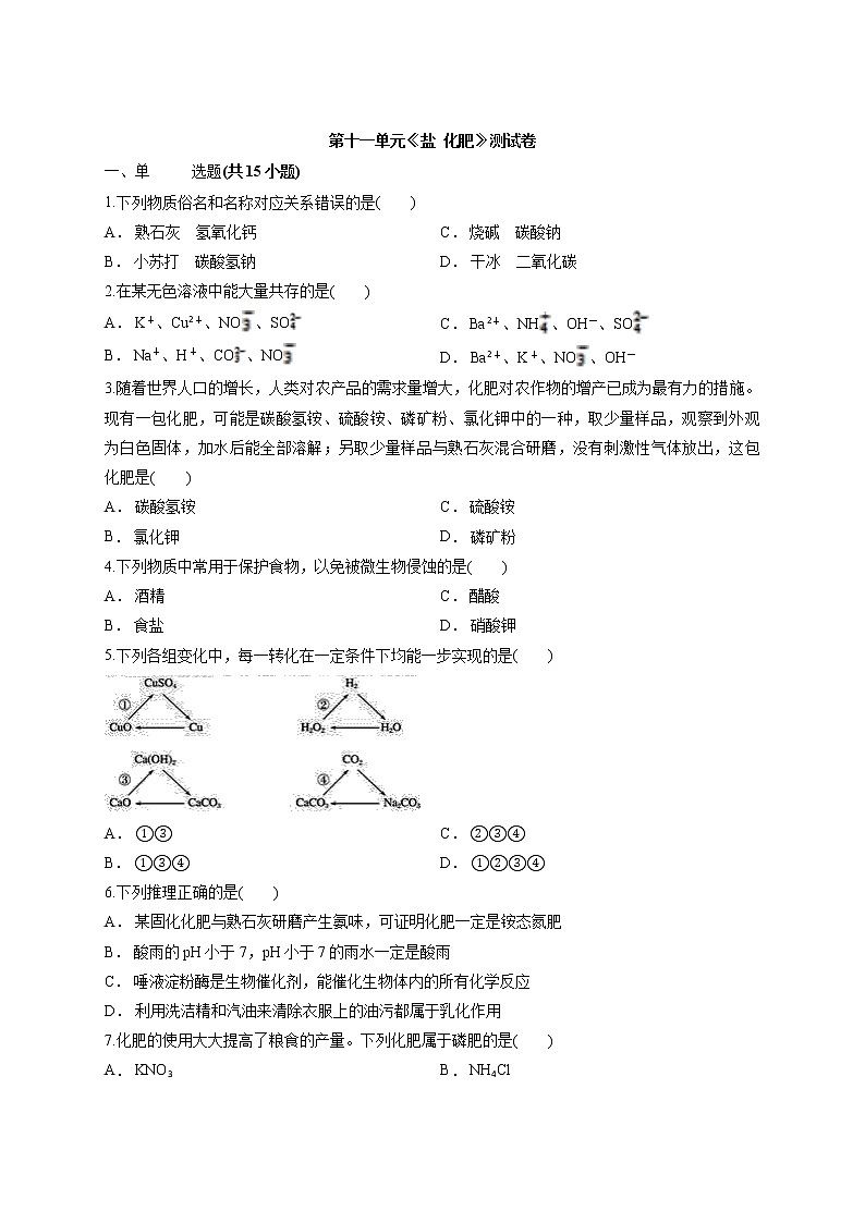 2020年秋季人教版初中化学九年级下学期第十一单元 盐  化肥 测试卷01