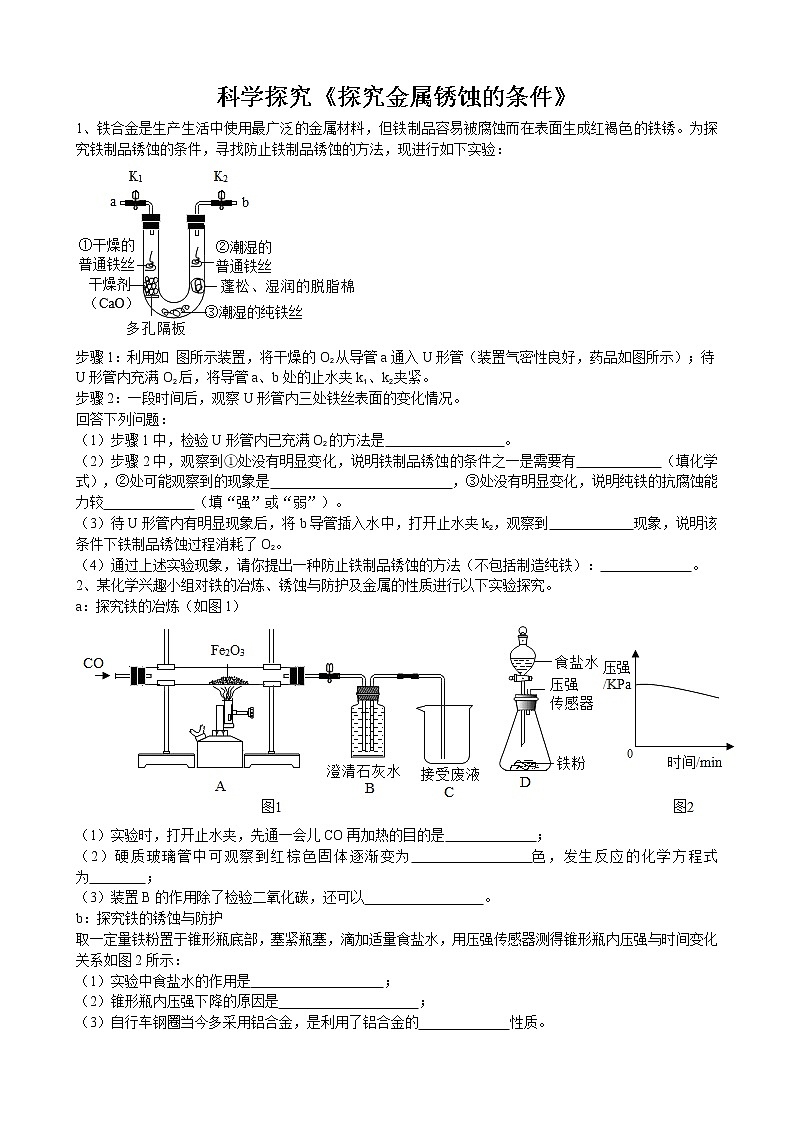 2020年中考人教版化学科学探究《探究金属锈蚀的条件》专题练习01