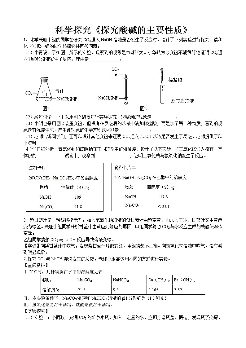 2020年中考人教版化学科学探究《探究酸碱的主要性质》专题练习01