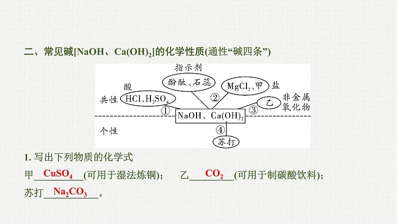 2020中考化学一轮复习基础考点课件：主题6 常见的酸和碱05