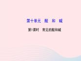 中考化学全程复习第十单元酸和碱第1课时常见的酸和碱课件新人教版
