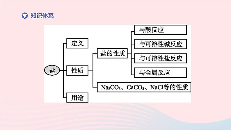 （杭州专版）2020中考化学复习方案第08课时盐和化肥课件第2页