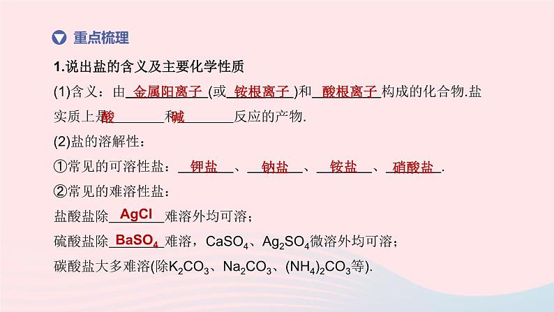 （杭州专版）2020中考化学复习方案第08课时盐和化肥课件第3页