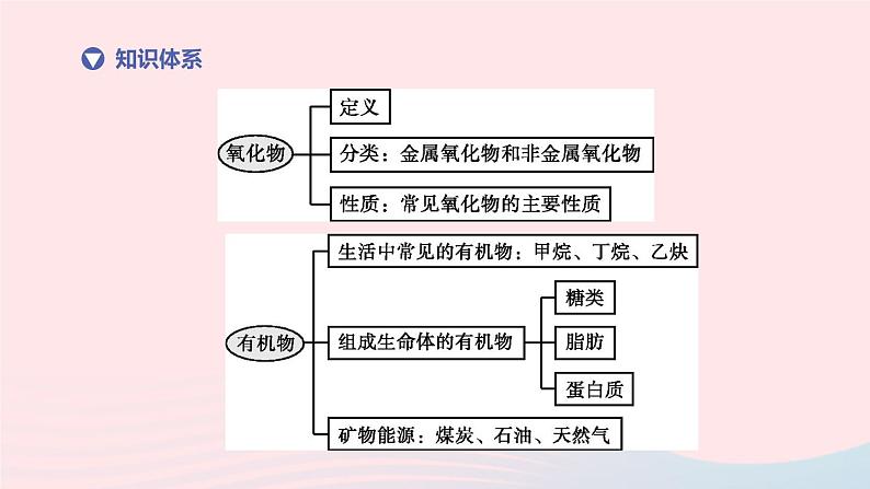 （杭州专版）2020中考化学复习方案第10课时氧化物和常见的有机物课件第2页