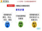 人教九上化学：1.2 《化学是一门以实验为基础的科学》课件+视频素材