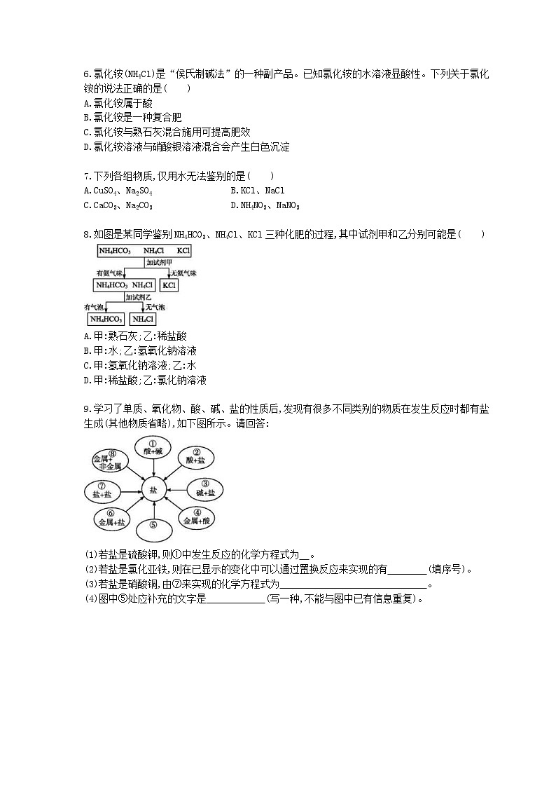 2021年中考化学一轮复习同步检测《盐 化肥》（含答案解析）第2页