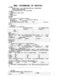 化学九年级下册课题1 常见的酸和碱导学案