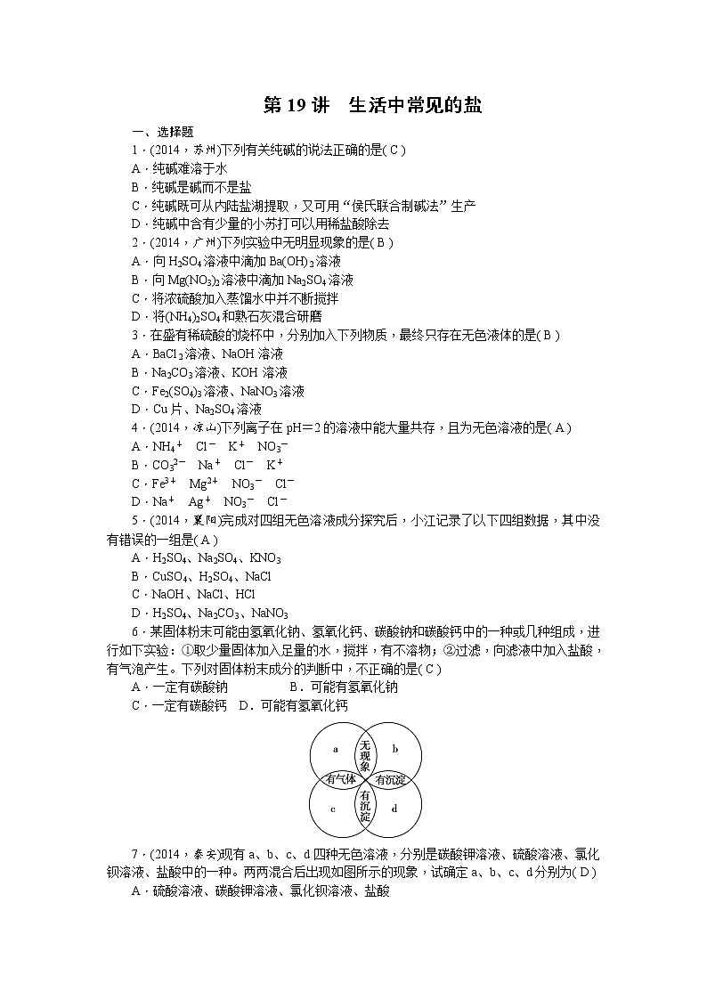 2015中考年化学考点跟踪：第19讲 生活中常见的盐 教案01