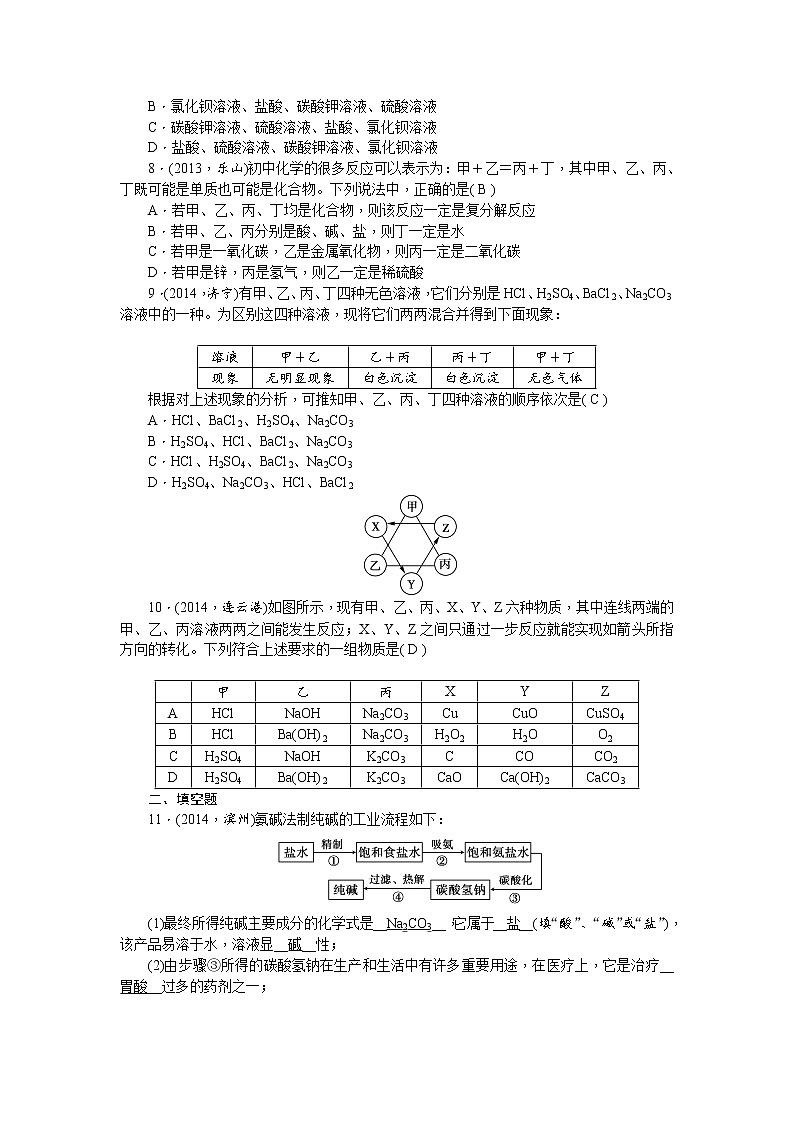 2015中考年化学考点跟踪：第19讲 生活中常见的盐 教案02