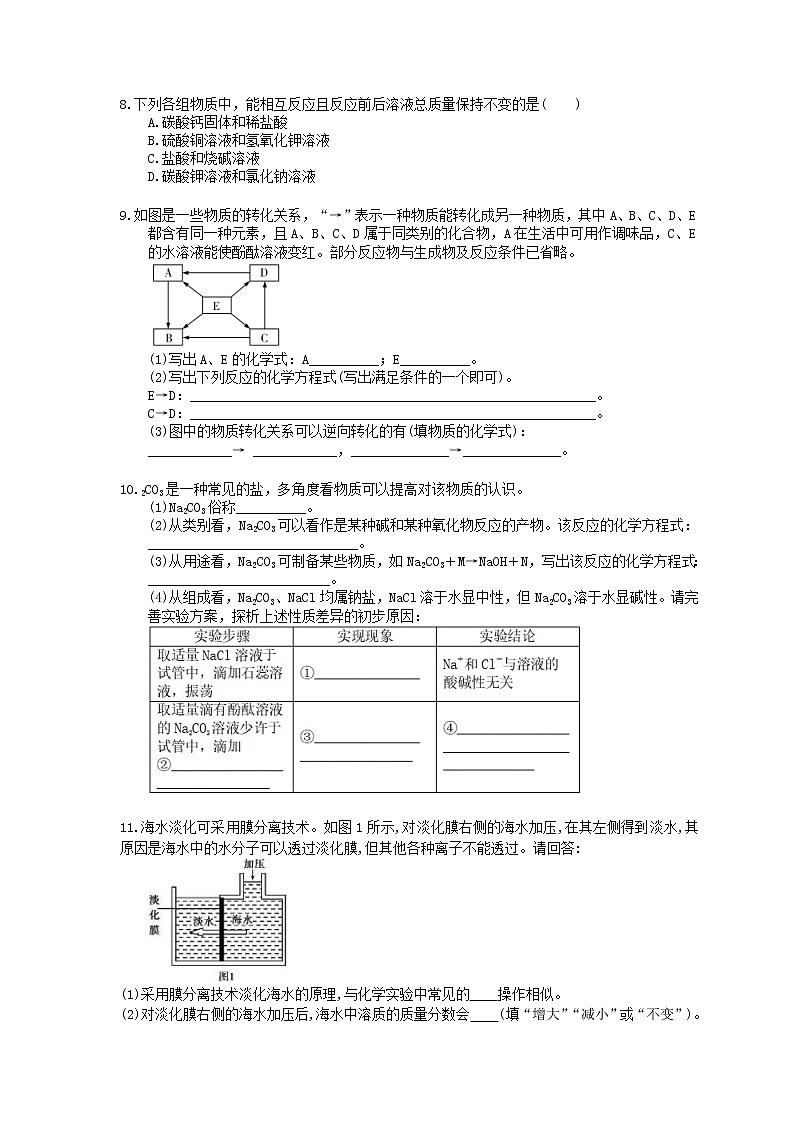 2021年中考化学基础过关：11《盐化肥》(含答案)第2页