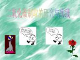 實(shí)驗(yàn)活動(dòng)2　二氧化碳的實(shí)驗(yàn)室制取與性質(zhì)(共20張PPT)