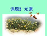 3.3元素(共33张PPT)