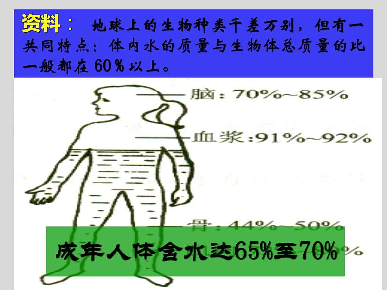 4.3水的组成(共25张PPT)06