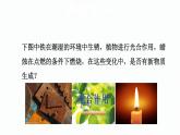 1.1.1 物质的变化 课件