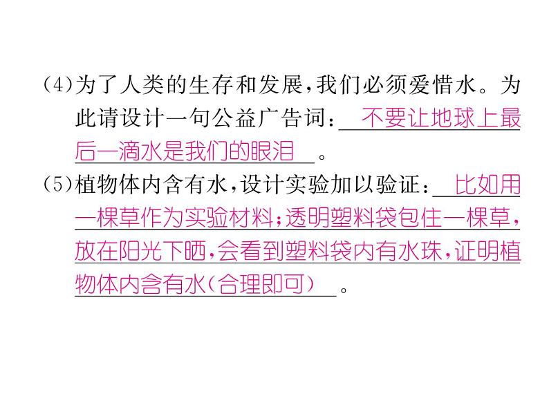 第4单元重难突破、易错专攻 (共28张PPT)第5页