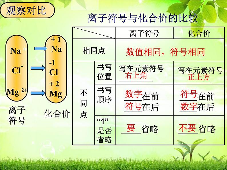 课题4化学式与化合价第2课时课件（20张PPT）第6页