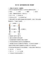 初中第六单元 碳和碳的氧化物综合与测试一课一练