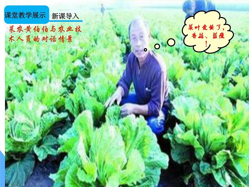 人教版九年级化学第四单元 课题4 化学式与化合价课件(共24张PPT)第2页