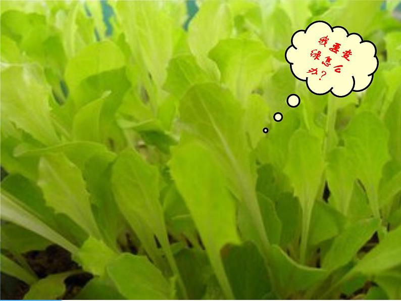 人教版九年级化学第四单元 课题4 化学式与化合价课件(共24张PPT)第3页