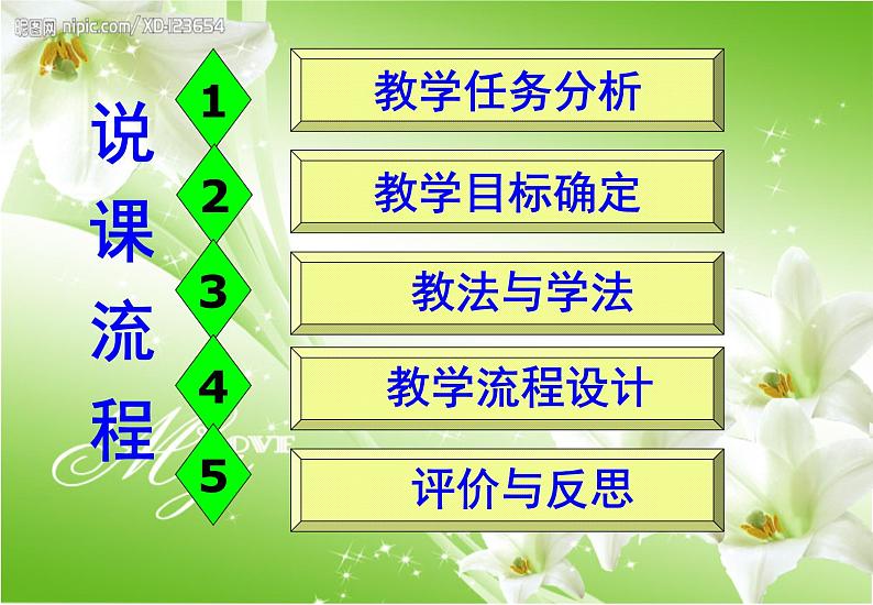 人教版九年级化学上册 6.2二氧化碳制取的研究 说课课件(共29张PPT)第2页