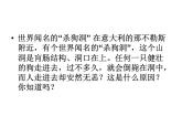 粤教版九年级化学5.3二氧化碳的性质和制法教学课件