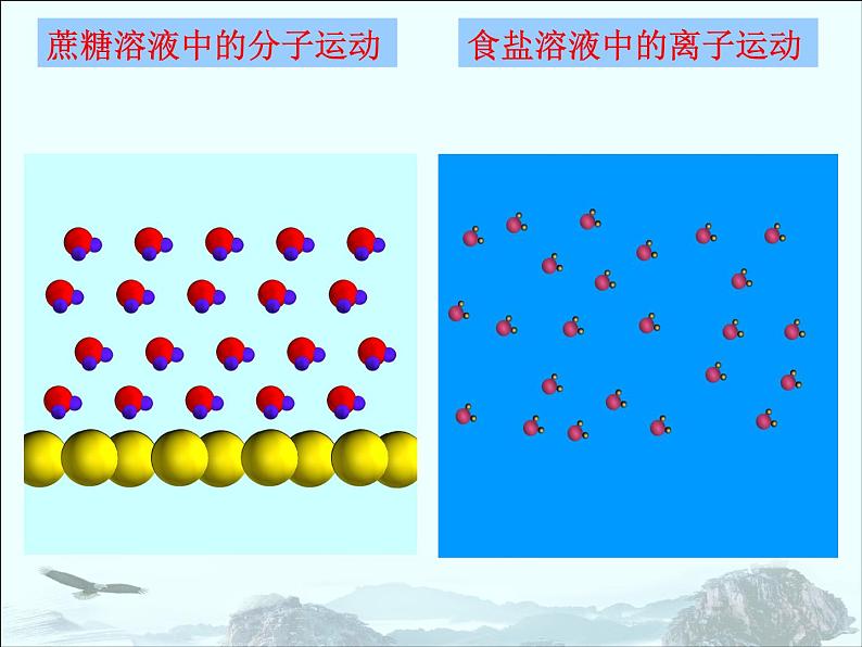 人教版九年级化学下册课题1-溶液的形成(共26张PPT)03