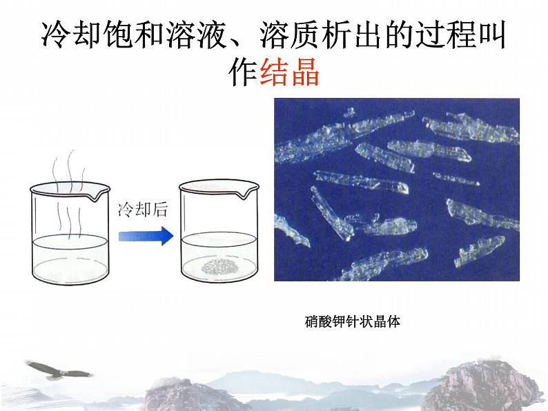 人教版化学九下9.2  溶解度-课件( 共19张PPT)08