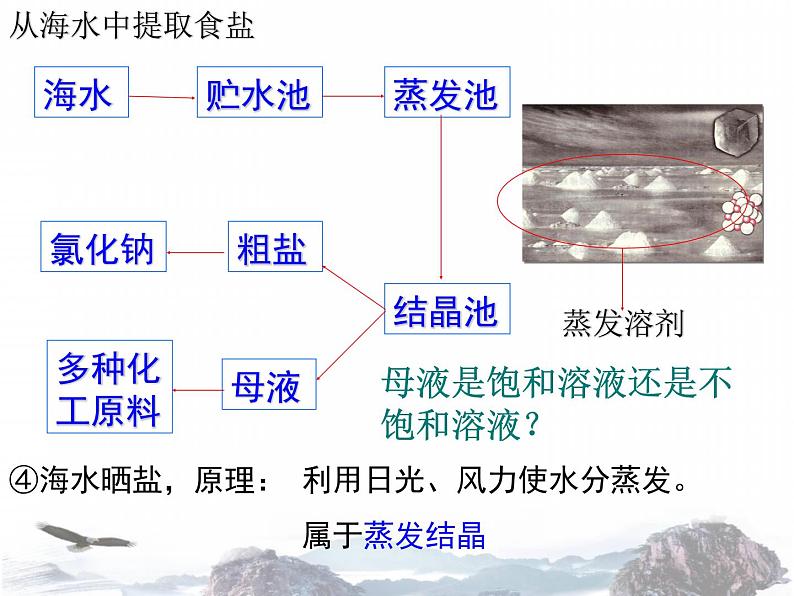 人教版初三化学下册：第九单元 课题2溶解度（ 共28张PPT)07