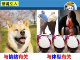 人教版化学九年级下册 第九单元 课题2 溶解度课件(共77张PPT)