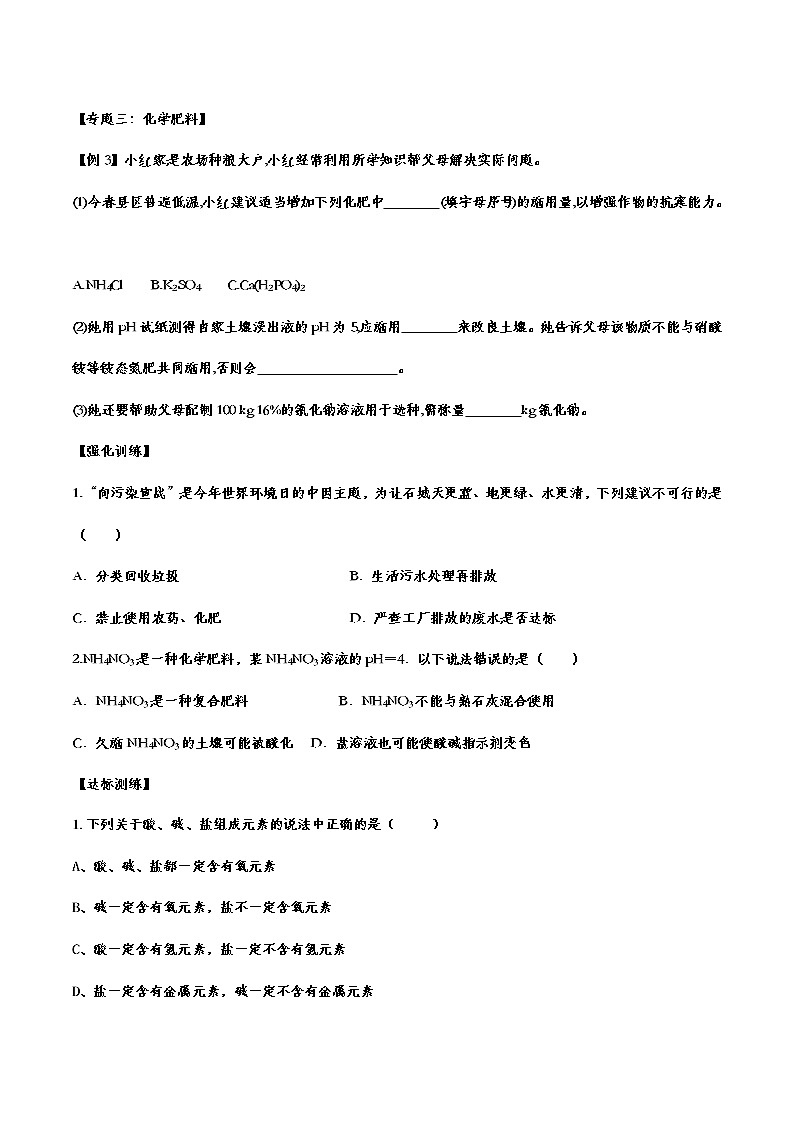 备战2021中考化学重点知识强化训练——专题十一：盐和化肥03