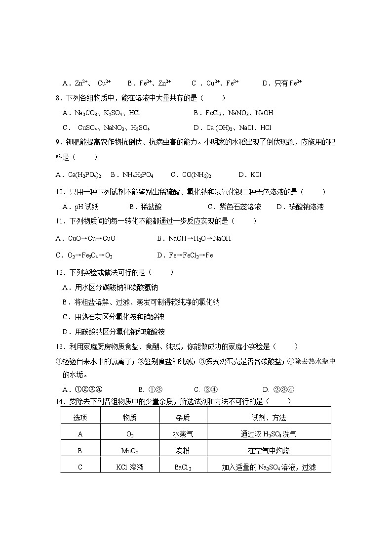 单元复习 人教版第十一单元 盐与化肥 单元复习测试题02