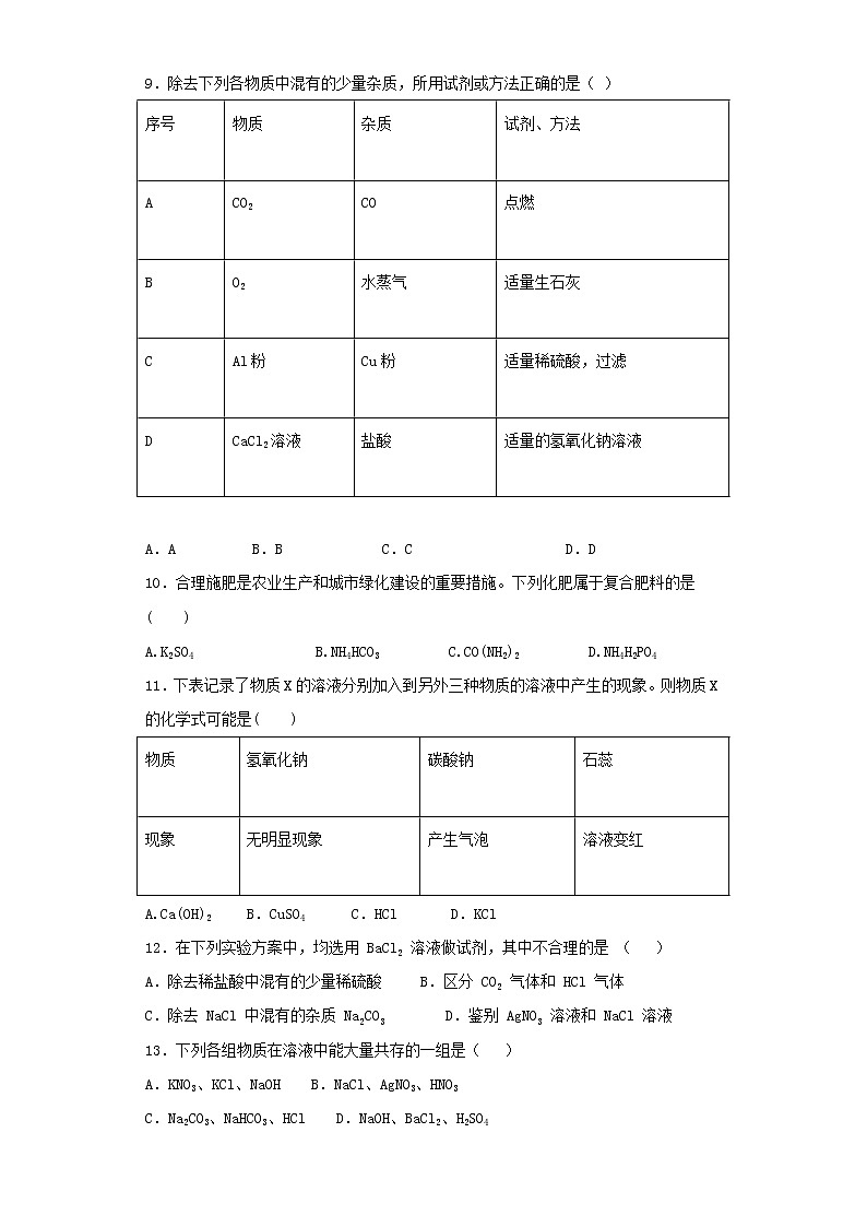 人教版初中化学九年级下册第11单元 盐 化肥 检测题  (2)02