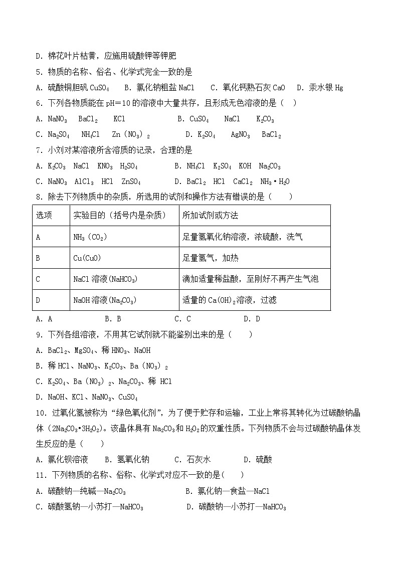 人教版初中化学九年级下册第十一单元 盐 化肥 单元检测02