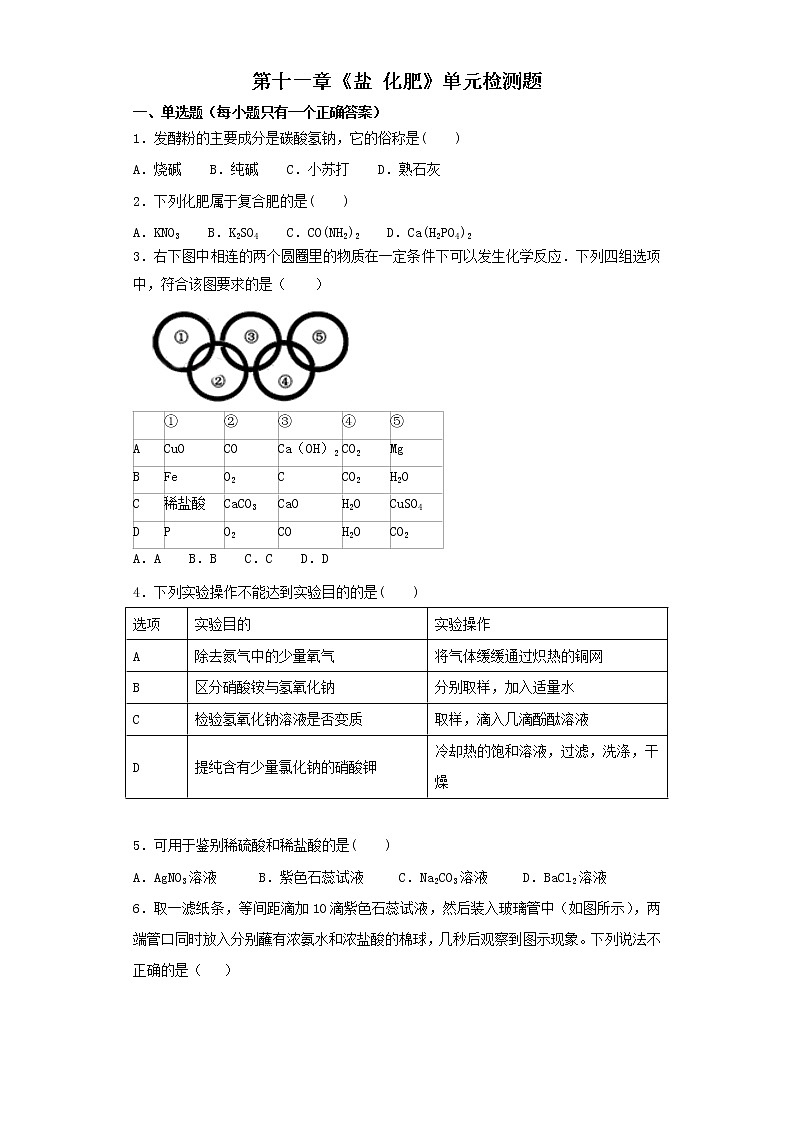 人教版初中化学九年级下册第十一单元 盐 化肥 单元检测题  (9)第1页