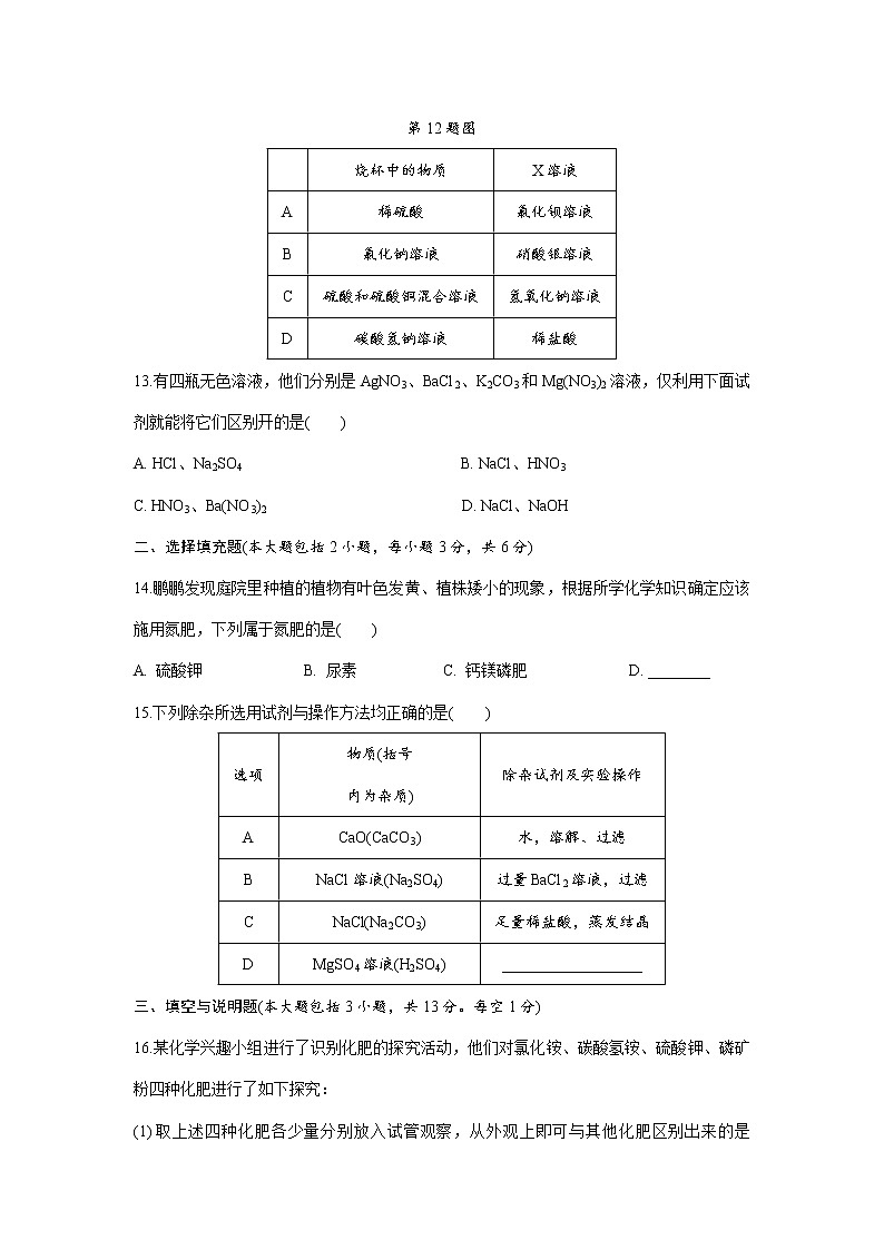 人教版九年级化学第11单元 盐 化肥 单元检测试卷03