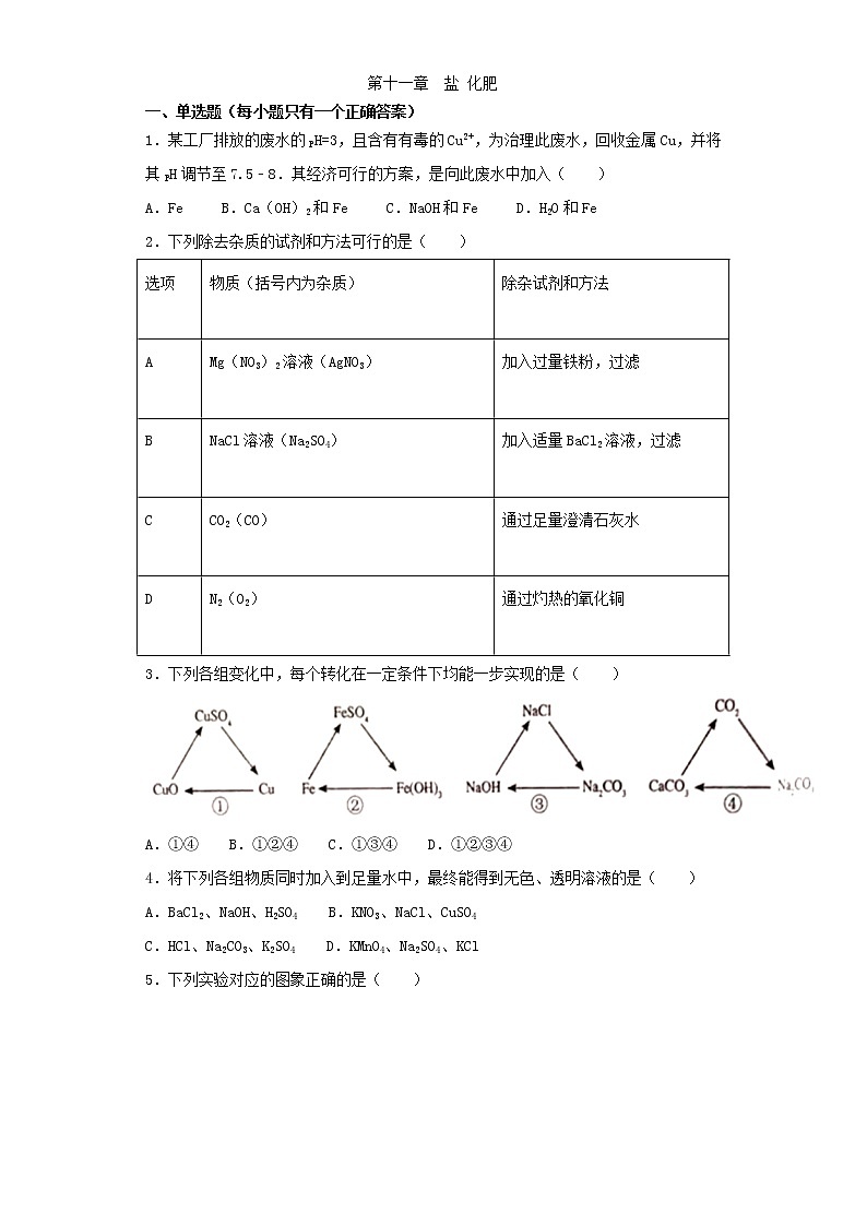人教版九年级下册化学单元检测卷 第十一单元  盐 化肥01