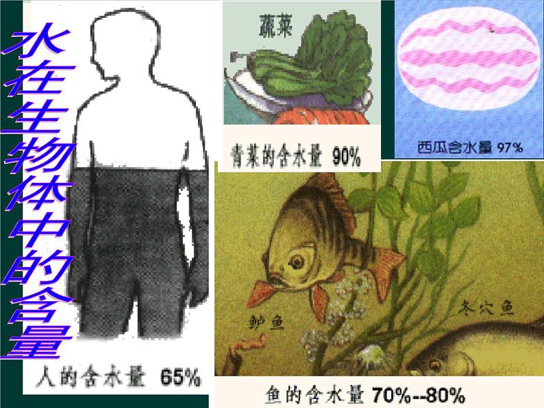 人教版九年级化学上册第4单元课题1爱护水资源课件 (2)04