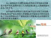 人教版九年级上4.1爱护水资源PPT课件(共25张PPT)