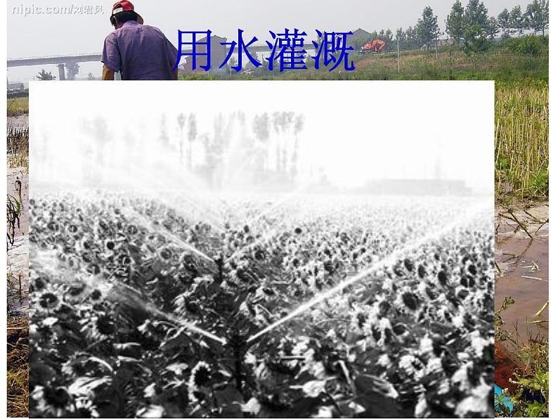 人教版化学九年级上册4.1《爱护水资源》 课件04