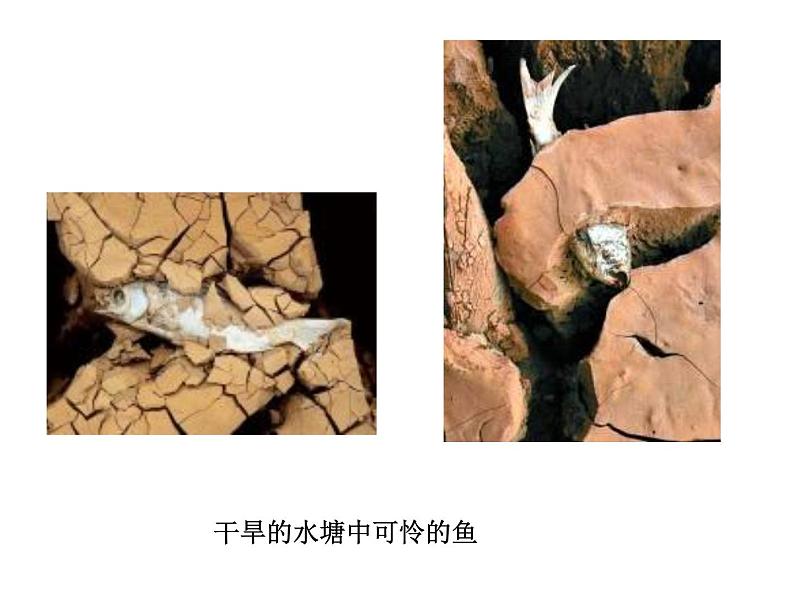 人教版九年级上册化学课件4.1爱护水资源07