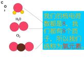人教版九年级化学课件3.3元素 (共31张PPT)