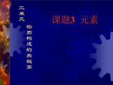 人教版九年级化学课件3.3元素 说课 (共22张PPT)