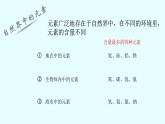 人教版九年级化学课件3.3元素公开课 (共13张PPT)